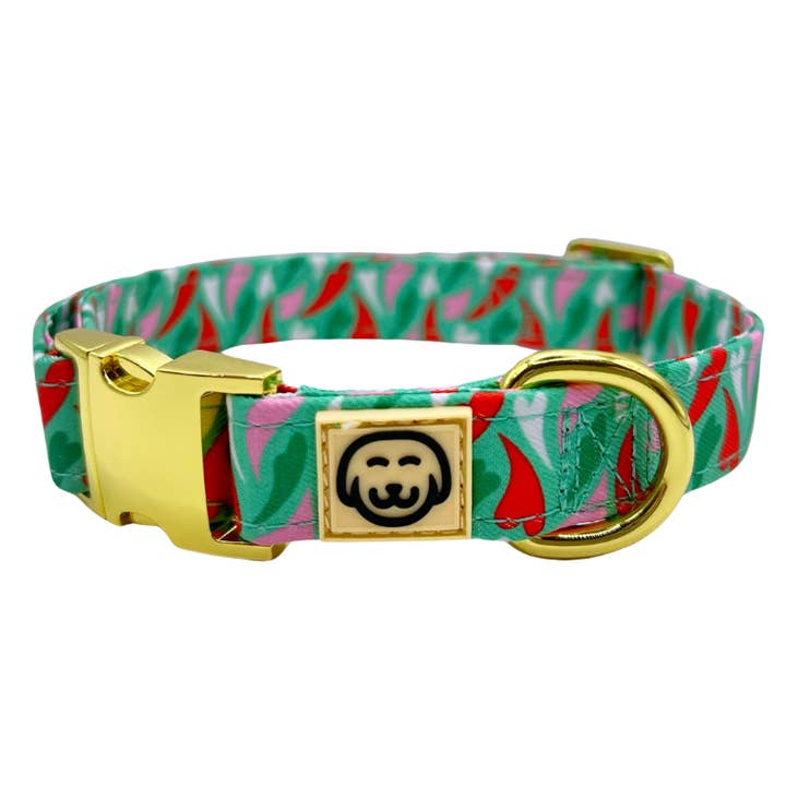 Amore - Collar para perro para venta al por mayor de Molly & Co.