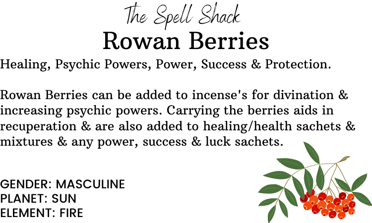 Witchuals - Rituals & Spellwork Apothecary - Wholesale Meditation Supplies - Rowan Berries1