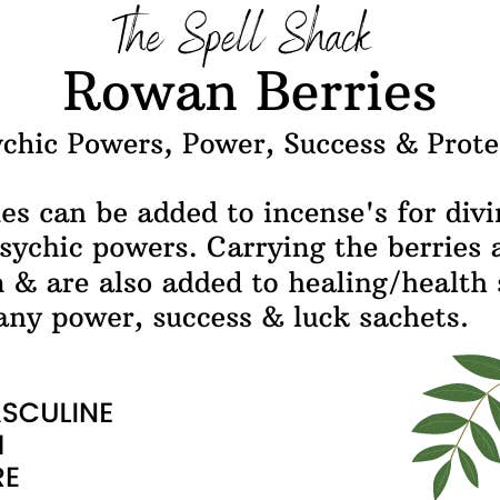 Witchuals - Rituals & Spellwork Apothecary - Wholesale Meditation Supplies - Rowan Berries1