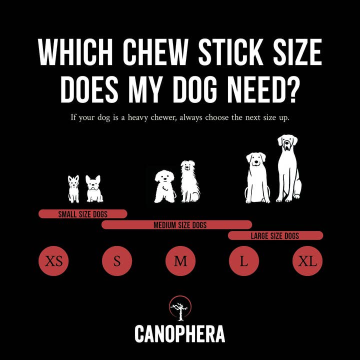 CANOPHERA GmbH - Wholesale Pet Chew Toy - Dog - Dog Chew Made Of Red Deer Antler Splits.2