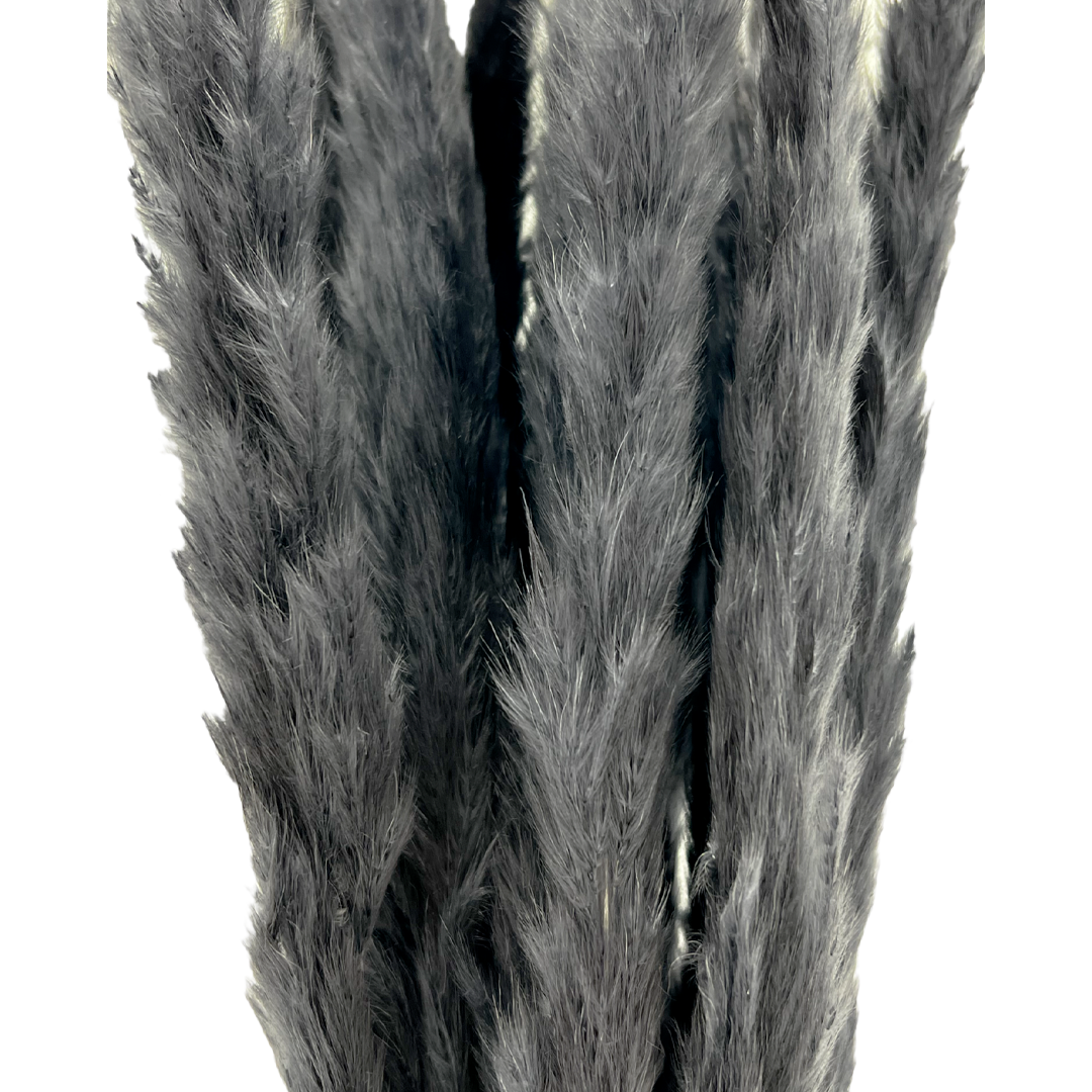 2626 Designs – Engroshandel Tørrede/pressede blomster – Konserverede blomster Lille pampassgræs, 20" langt22