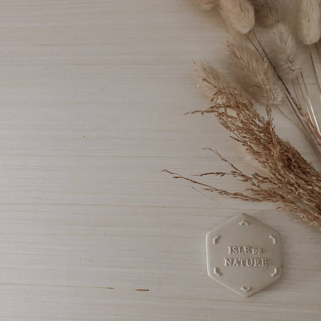 Isle de Nature - Wholesale Fragrance Oil - Pagua Bay Scent Coin*2