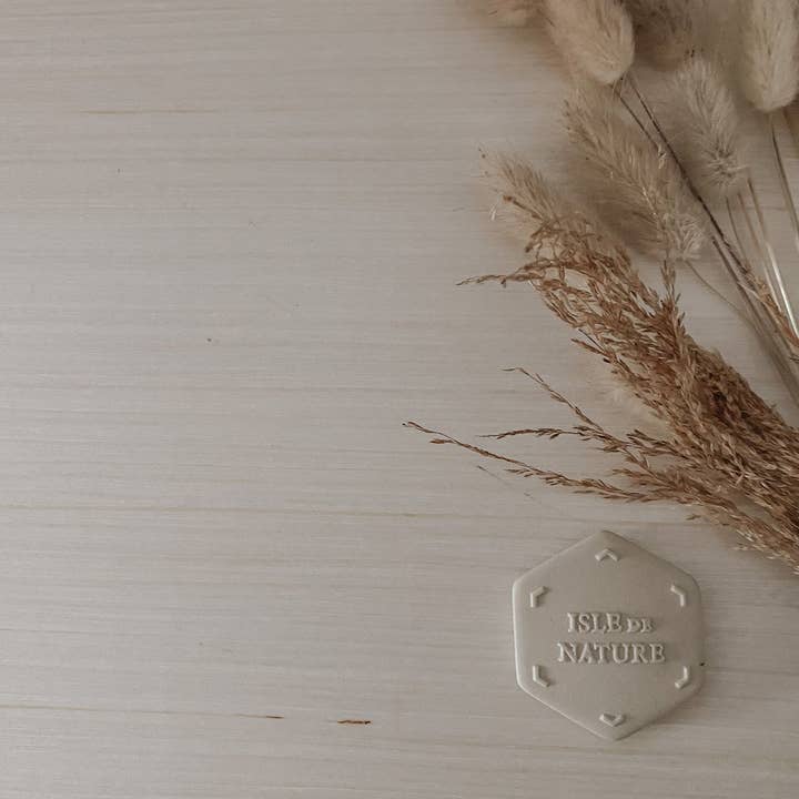 Isle de Nature - Wholesale Fragrance Oil - Pagua Bay Scent Coin*2