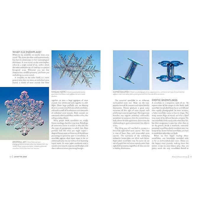 Texas Bookman - Wholesale Science and maths - Capturing Snowflakes: Winter's Frozen Artistry2