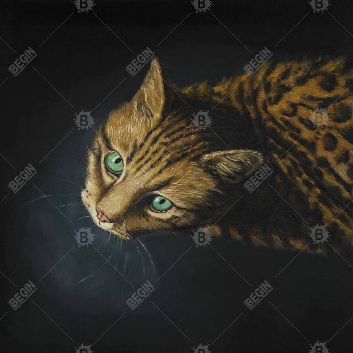 Svart Bengal katt | Invändig kudde 26 ”x 26" för wholesale på Faire