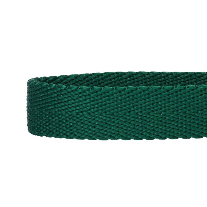 Blueberry Pet - Wholesale Pet collar – Dog - Best-Seller Double D-Ring Dog Collar -Must-Have for All Dogs60