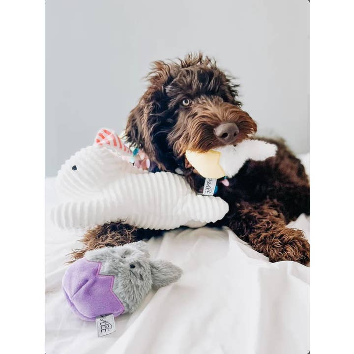 Midlee Designs - Wholesale Pet Plush Toy - Dog - Midlee Easter Bunny Egg Dog Toys - Set of 3