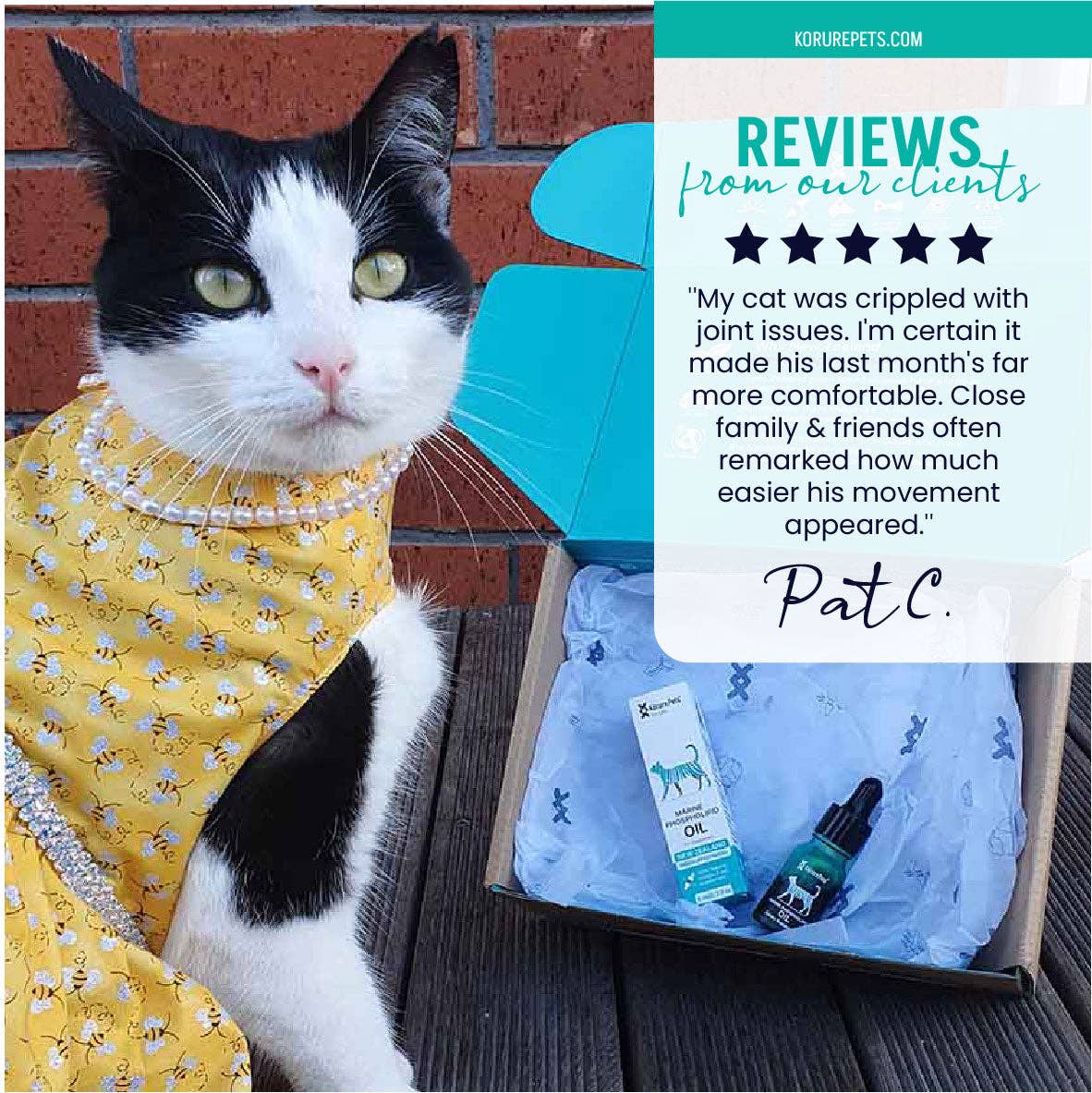 Kōrure Pets – wholesale Kosttillskott - Katt – Kattolja med grönläppad mussla från Nya Zeeland2