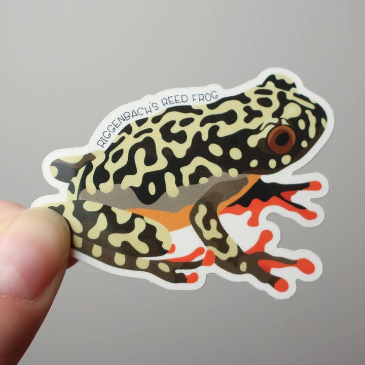 Autocollant en vinyle étanche de la grenouille de roseau de Riggenbach pour la vente par Beehive 95 Designs