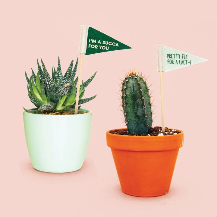 Plant Flags-5 Pack for wholesale by NPW