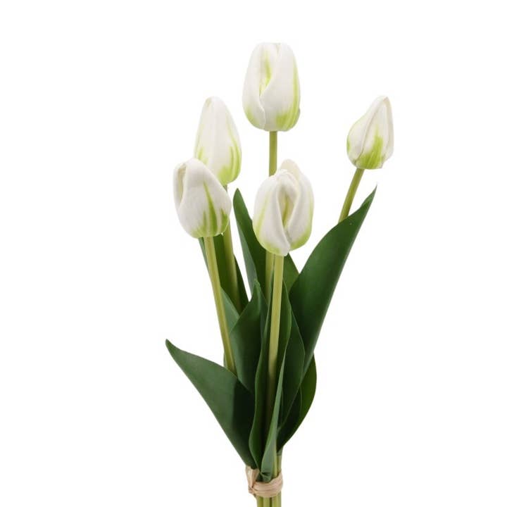 Tulpenbund x 5, Foam 40 cm weiss-grün für den Großhandel von Floratexx