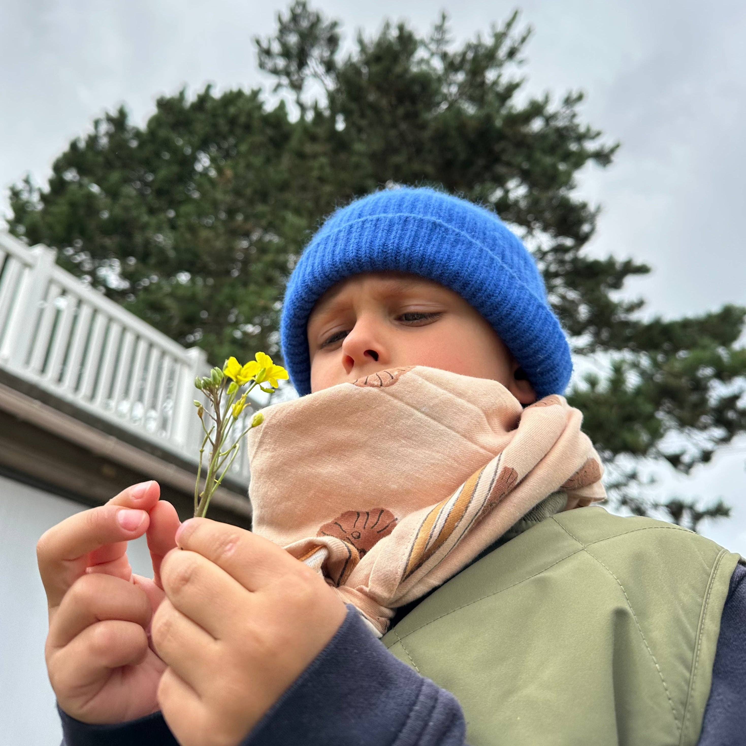 Maison Augustin - Wholesale Scarf - Unisex - Lion Biscuit Adult Scarf 100 cm0