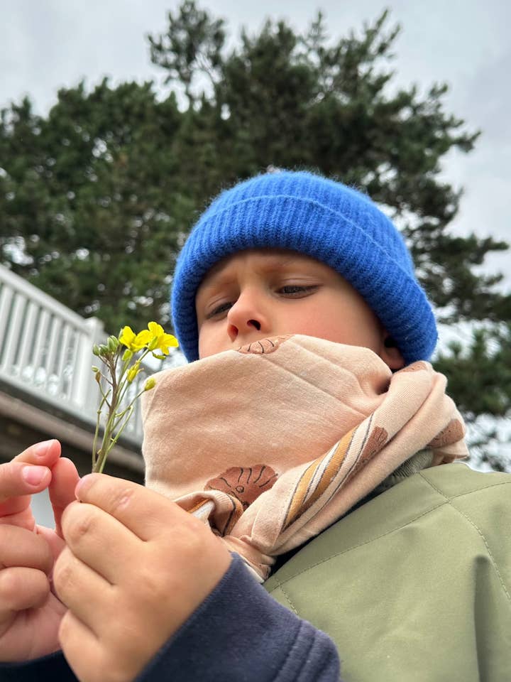 Lion Biscuit Adult Scarf 100 cm for wholesale by Maison Augustin