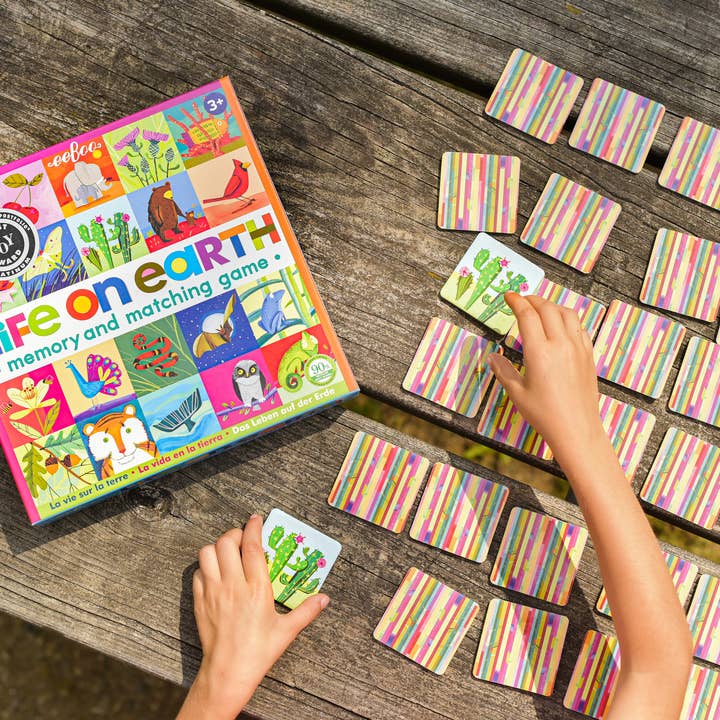 eeBoo - Wholesale Brain Game - Kids - Life On Earth Memory & Matching Game4