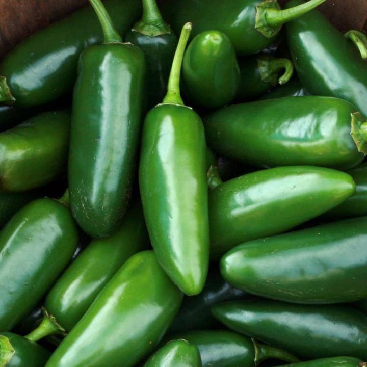 Sow True Seed - Wholesale Plant Seeds - Hot Pepper Seeds - Early Jalapeño3