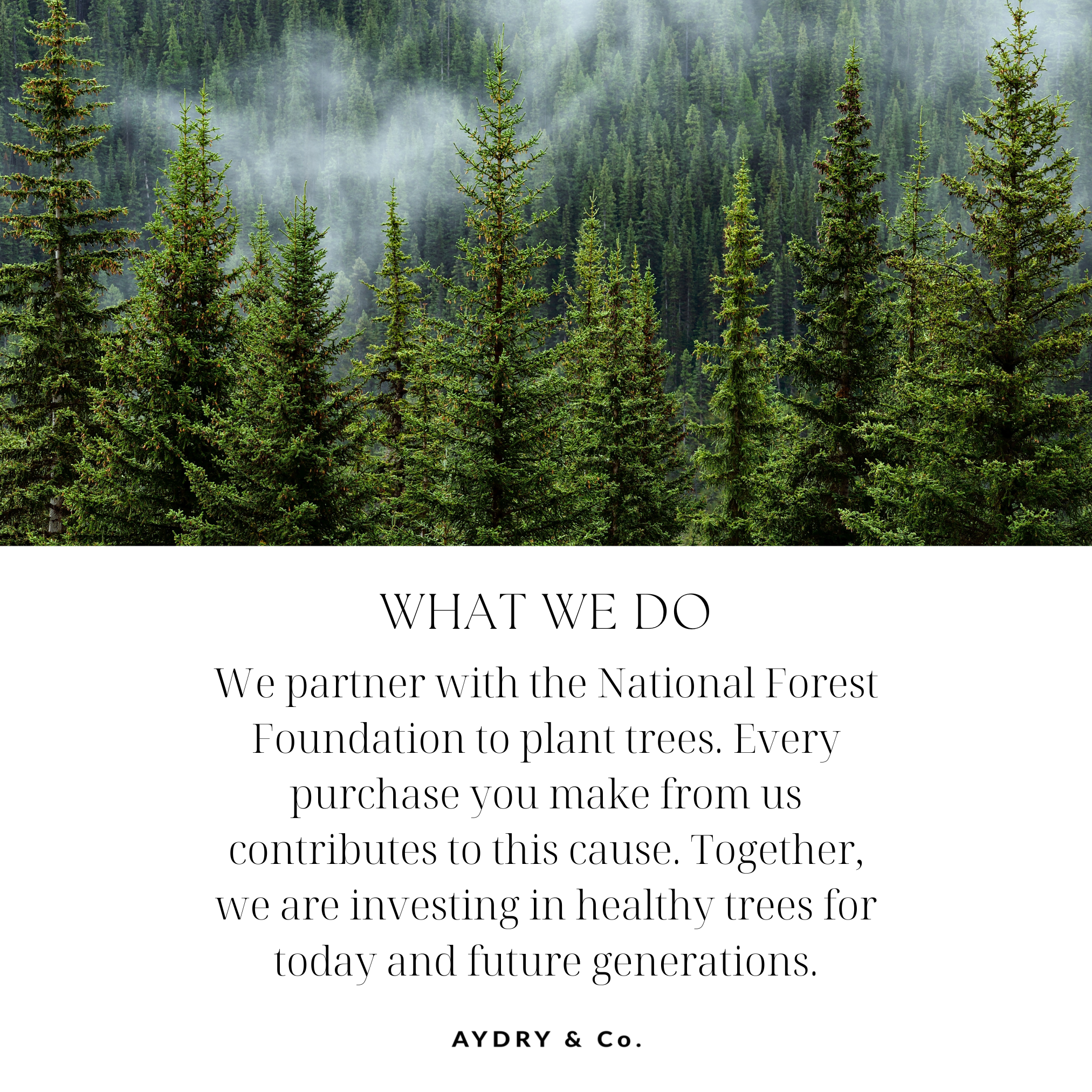 AYDRY & Co. - Venta al por mayor Velas en tarros - ORACIÓN MATUTINA DOMINGO CASA VELA8