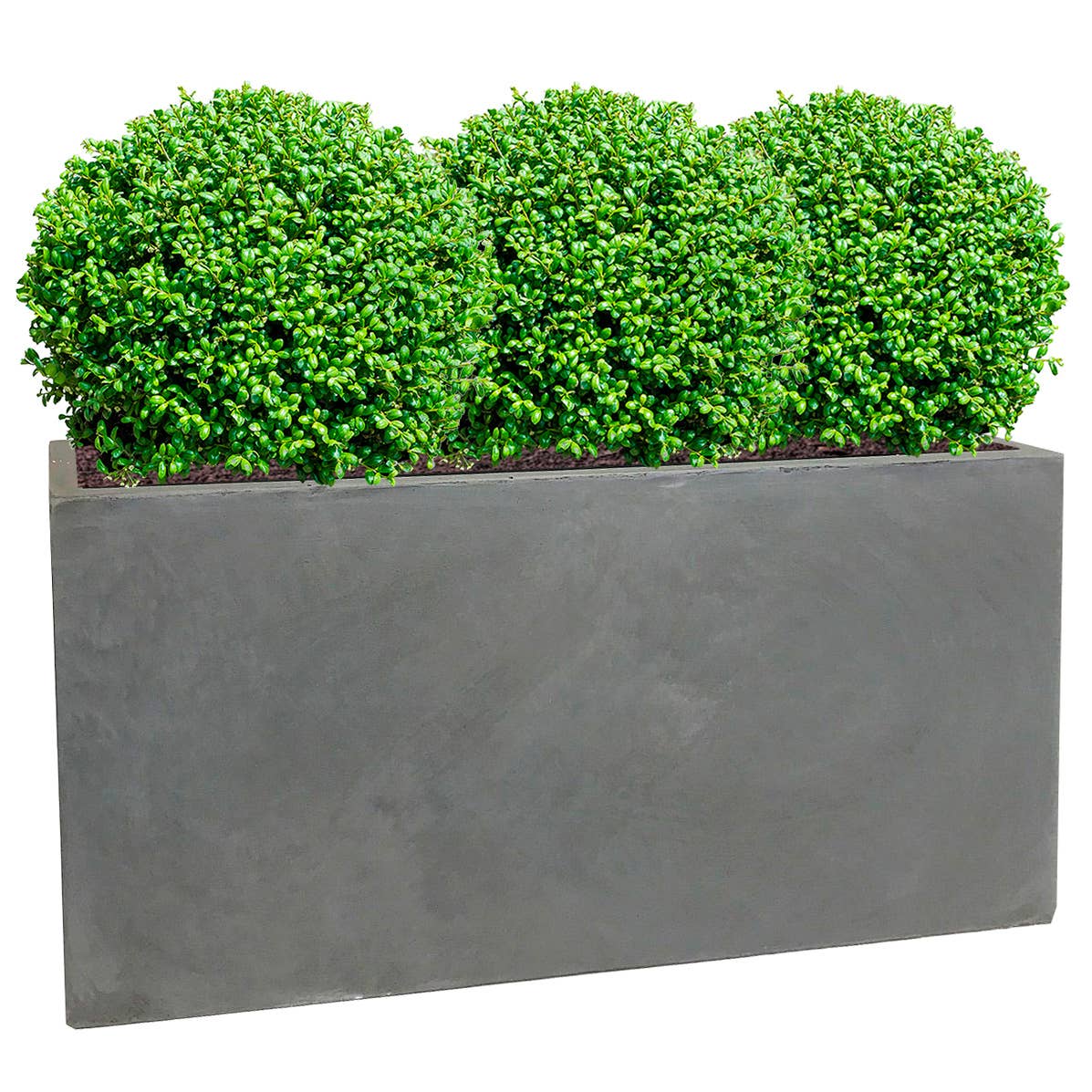 Idealist Lite Fibrestone Planters - Vente Jardinière - Potager contemporain léger en béton résistant au gel6