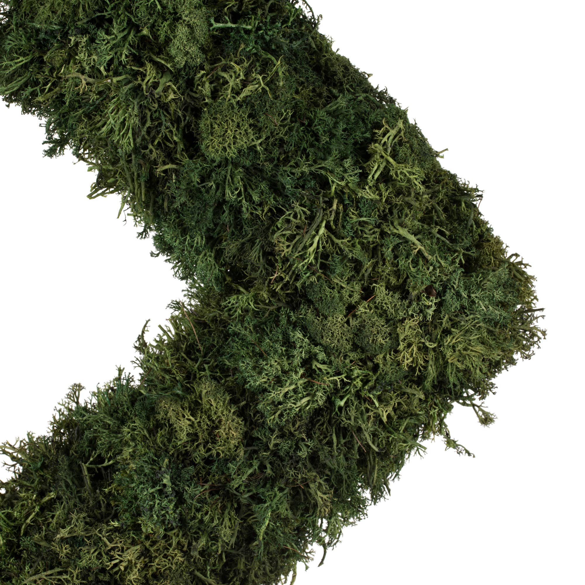Dark Green Vickerman 15 .5" Artificial Reindeer Moss Square Wreath. for wholesale on Faire2