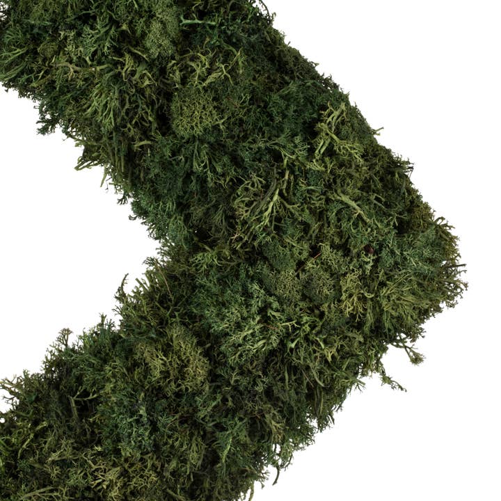 Dark Green Vickerman 15 .5" Artificial Reindeer Moss Square Wreath. for wholesale on Faire2