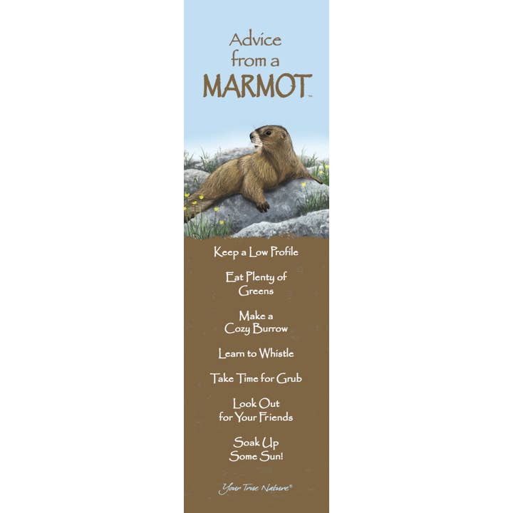 Advice from a Marmot Laminated Bookmark for wholesale by Advice for Life by Your True Nature