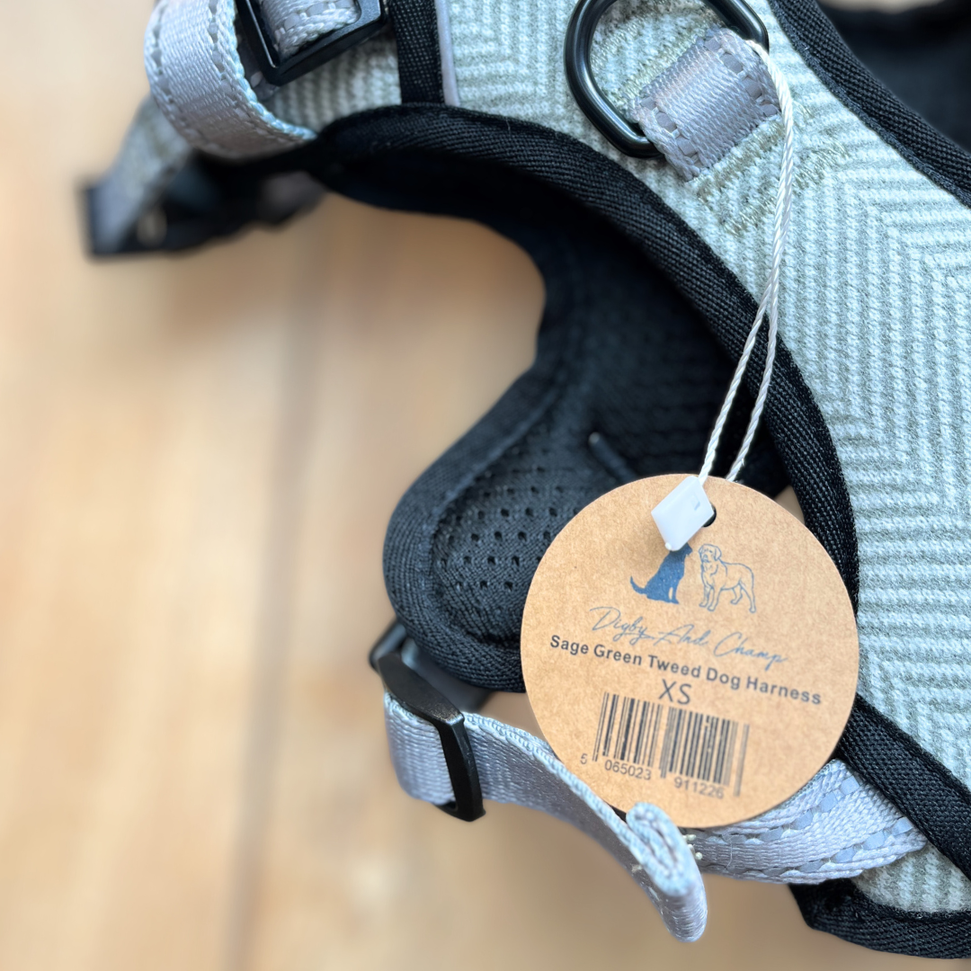 Digby and Champ – wholesale Pet harness – Dog – Sage Green Tweed Padded Dog Harness2