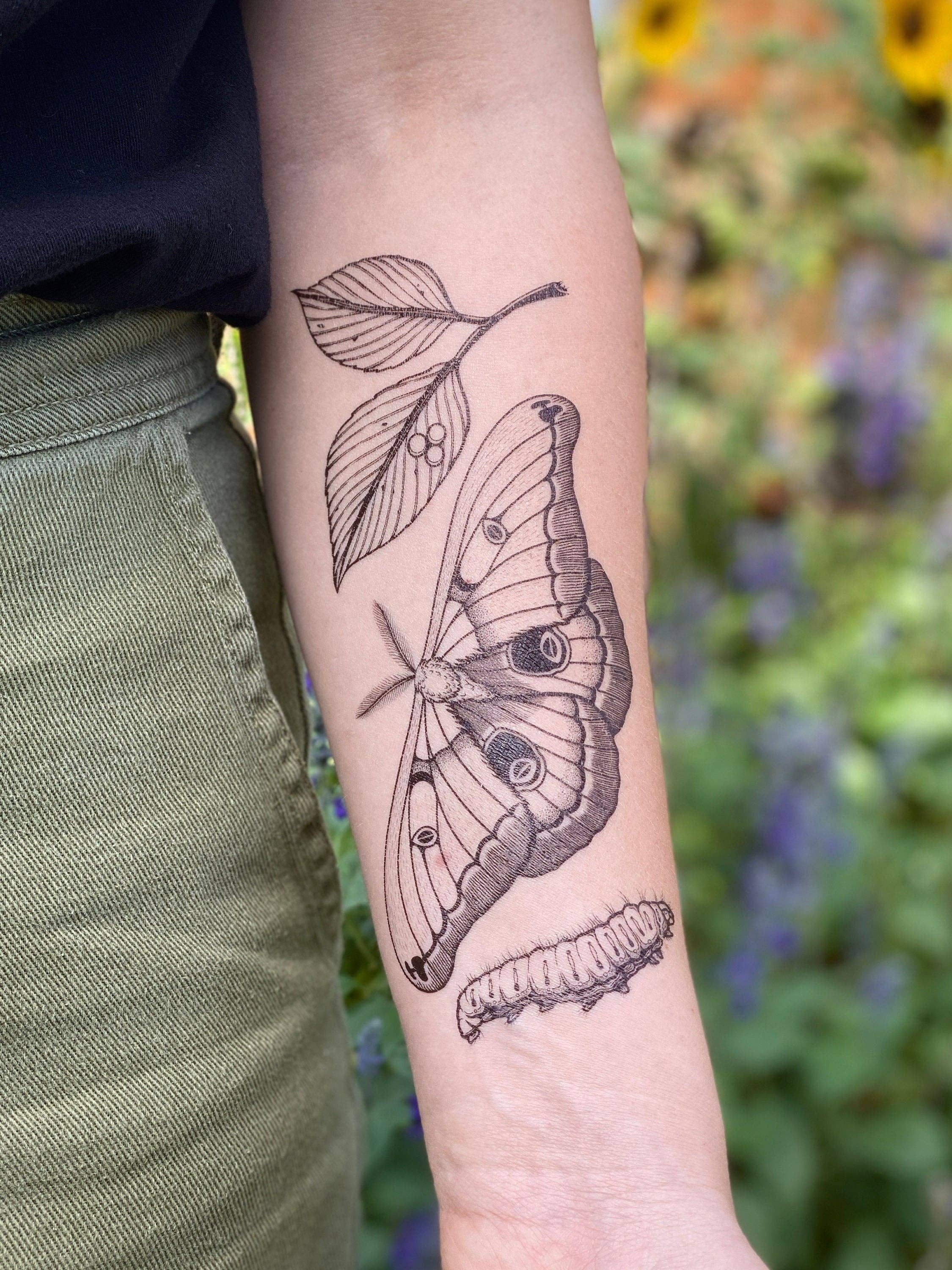 Tatuaggio Temporaneo Polyphemus Moth all'ingrosso per il tuo negozio - Faire  Italia