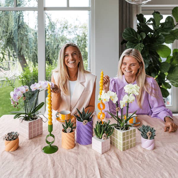 Oasis of Life - Wholesale Plant Pot - Mosa Decorative Pot – Pink – Ø9cm – Modern Decorative Pot from the Trend Collection Colourful Optimism – Stylish Plant Pot for Houseplants, Succulents & Cacti – Home Accessory for Creative Decoration2