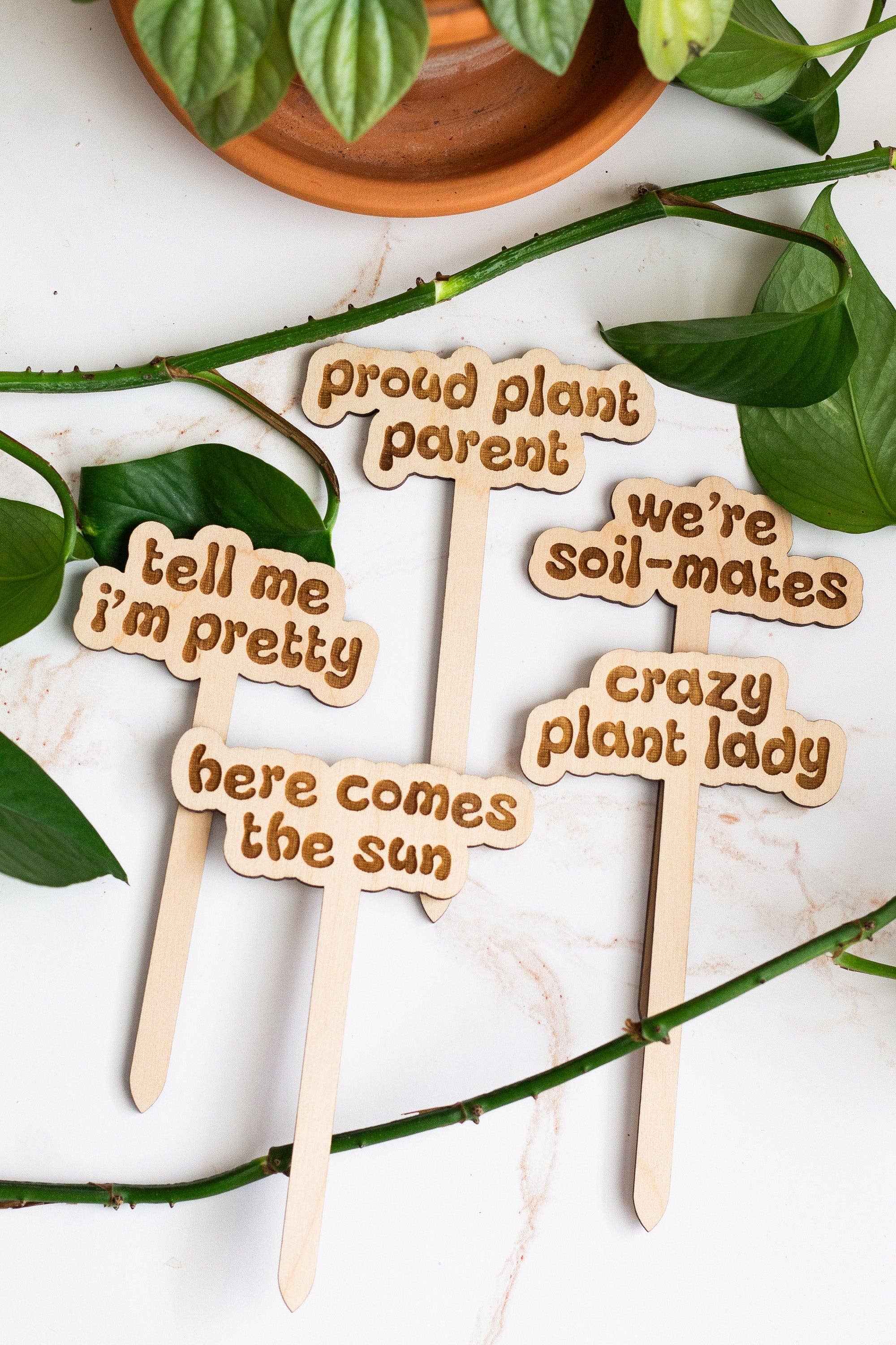 The Print Pantry - Wholesale Garden/Lawn Stake - Retro Funny Wooden Plant Markers7