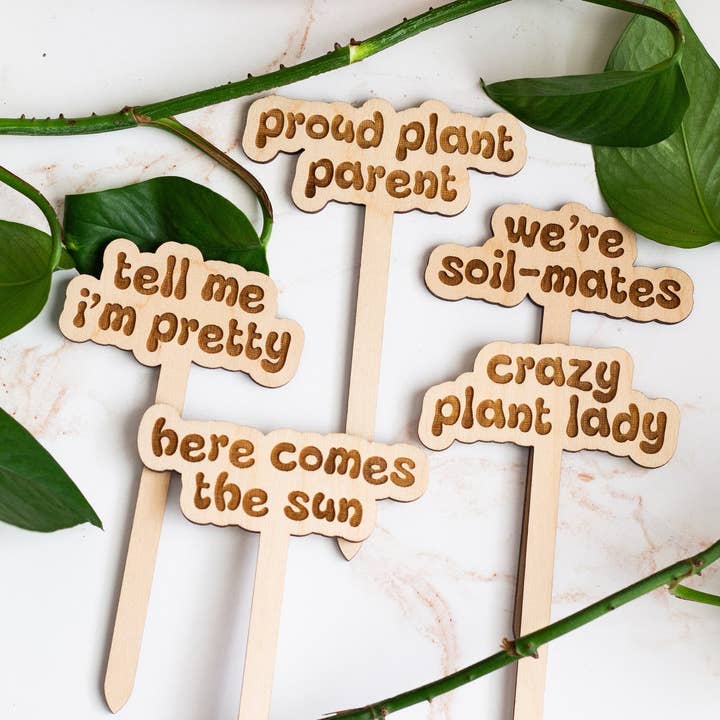 The Print Pantry - Wholesale Garden/Lawn Stake - Retro Funny Wooden Plant Markers7