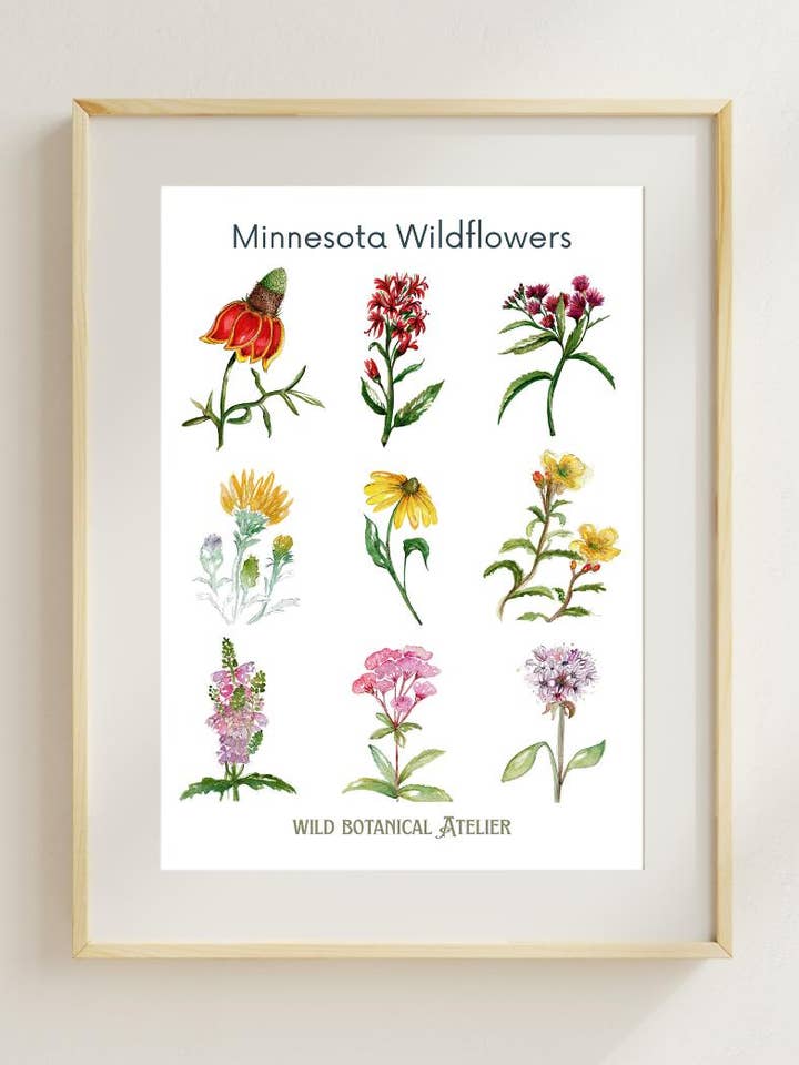 Minnesota Wildflowers Artwork Collection for wholesale by Wild Botanical Atelier
