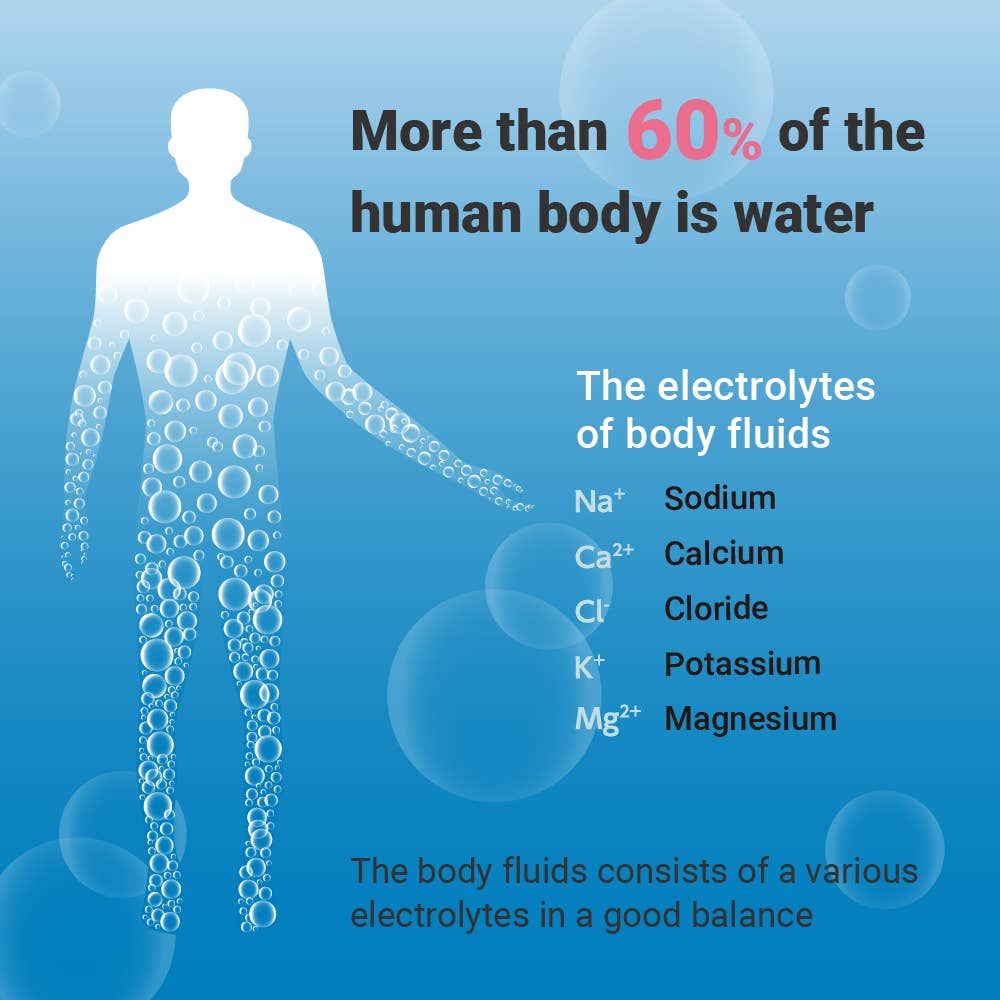 Crystal Geyser Water Company - Wholesale Sports/Energy Drink - Pocari Sweat Electrolyte Drink, 24 Pack of 16.9 fl oz Bottle4