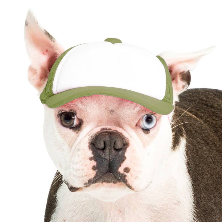 PupLid - Wholesale Pet Hat - Dog - Blank Foam | Trucker Hat for Dogs