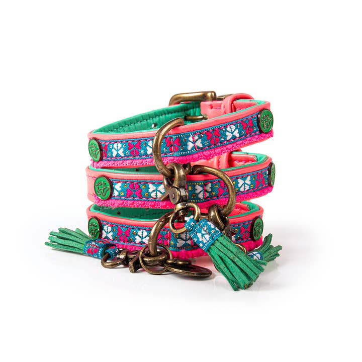 Dog with a Mission - Wholesale Pet Collar - Dog - Molly Mini Dog Collar