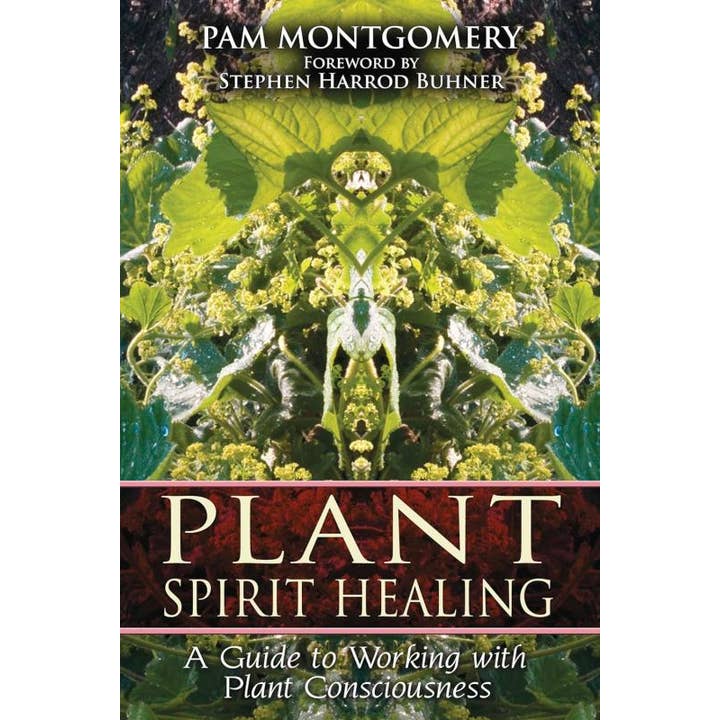 Växtandens helande: Växtmedvetande för wholesale av Microcosm Publishing & Distribution