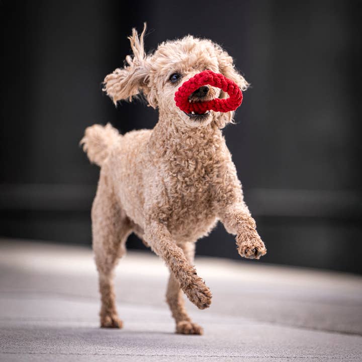 LABONI - Volentis GmbH - Vente Jouet en corde – chien - HERTHA HEART – Amour à mâcher15