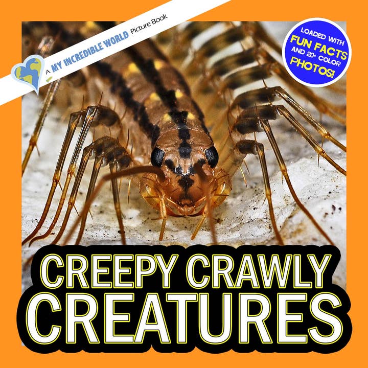 Creepy Crawly Creatures! A My Incredible World Picture Book for Children for wholesale by My Incredible World