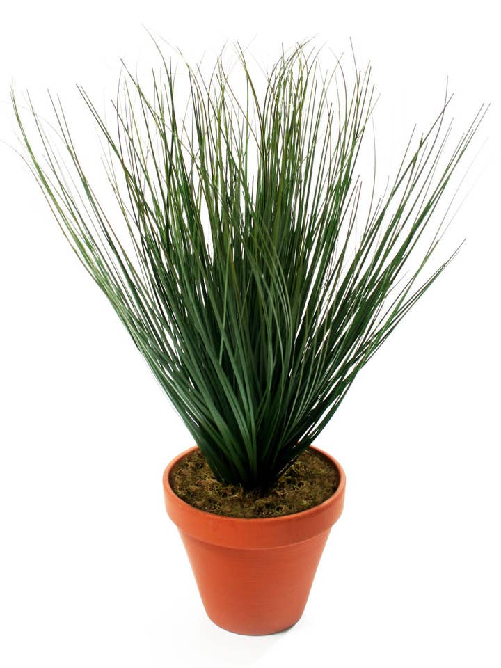 Konstgjord 1 fot lökgräsväxt för wholesale av Closer2Nature