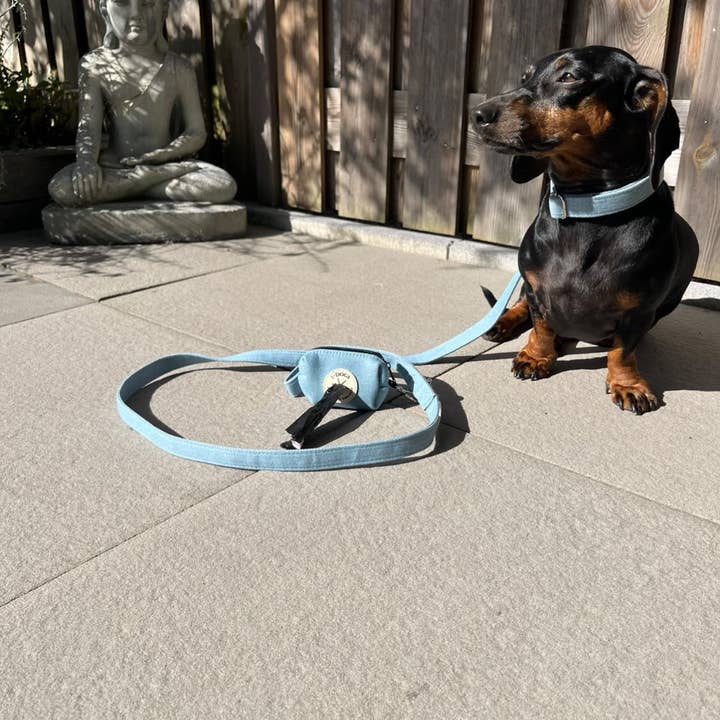 D-Paw komplett halsbandset för wholesale av I-Dogs