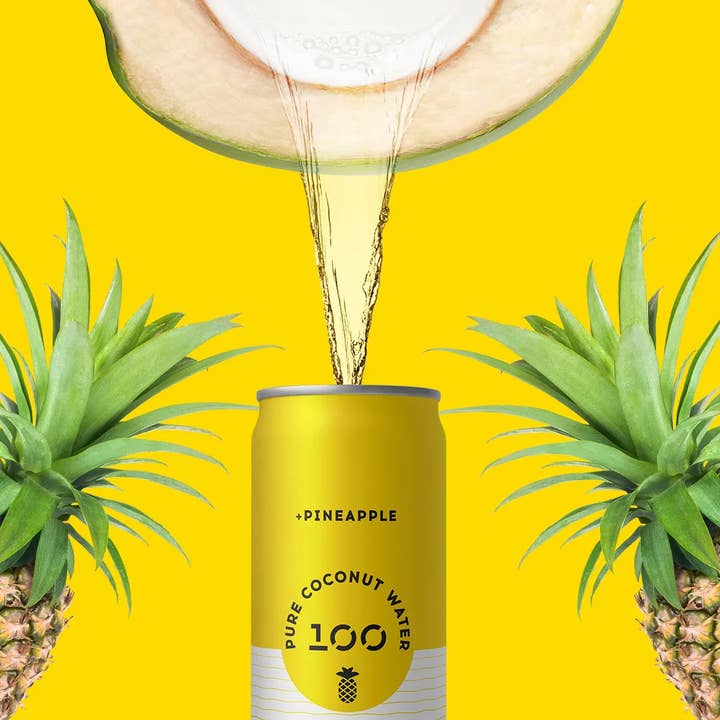 100 Coconuts - Wholesale Flavored/Infused Water (Non-Carbonated) - PURE COCONUT WATER + PINEAPPLE - 12 Pack1