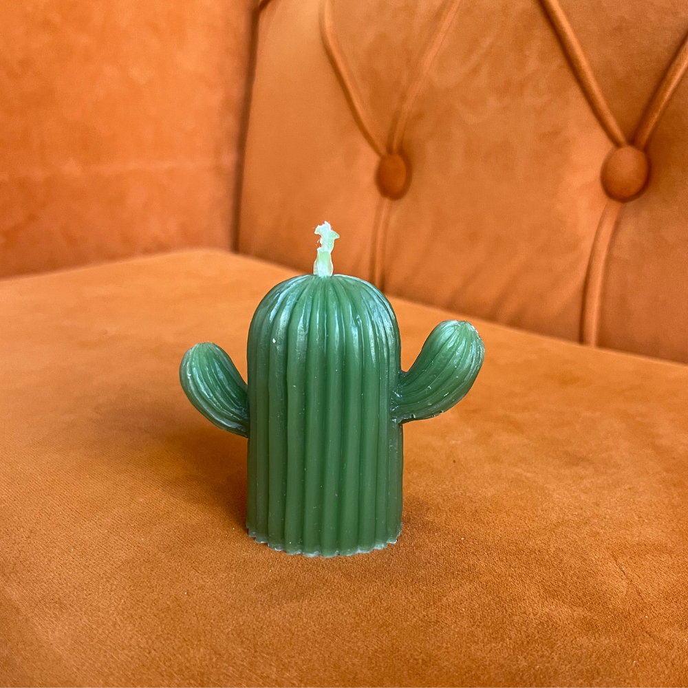 Freedom Rocks – wholesale Prydnadsljus – Cactus Naturligt bivax ljus5