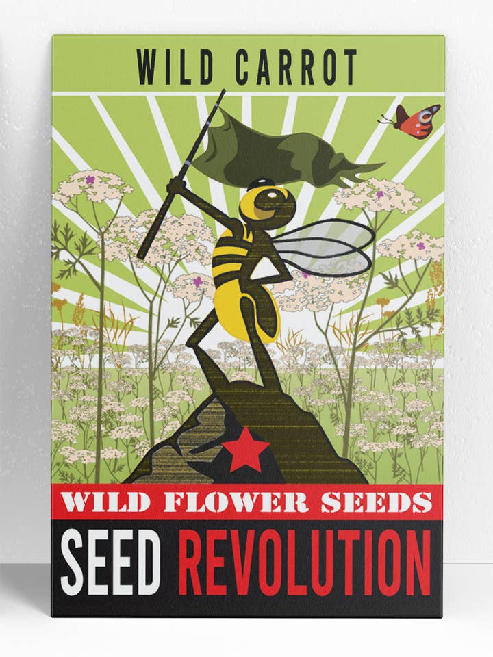 Wild Carrot Wildflower Seeds – Queen Anne’s Lace Native for wholesale by Seed Revolution