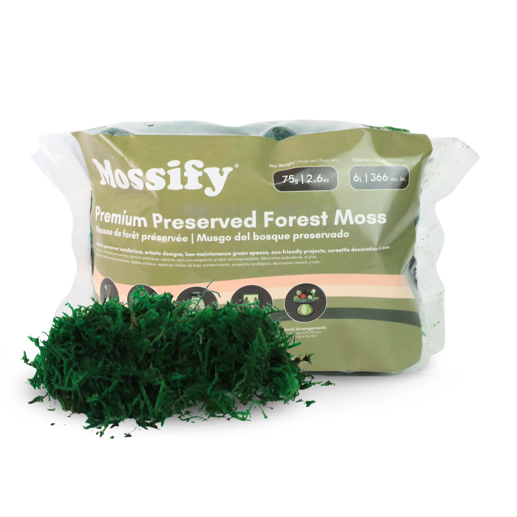 Mossify - Wholesale Live Plant - Premium Preserved Forest Moss – Décor & Design Material0