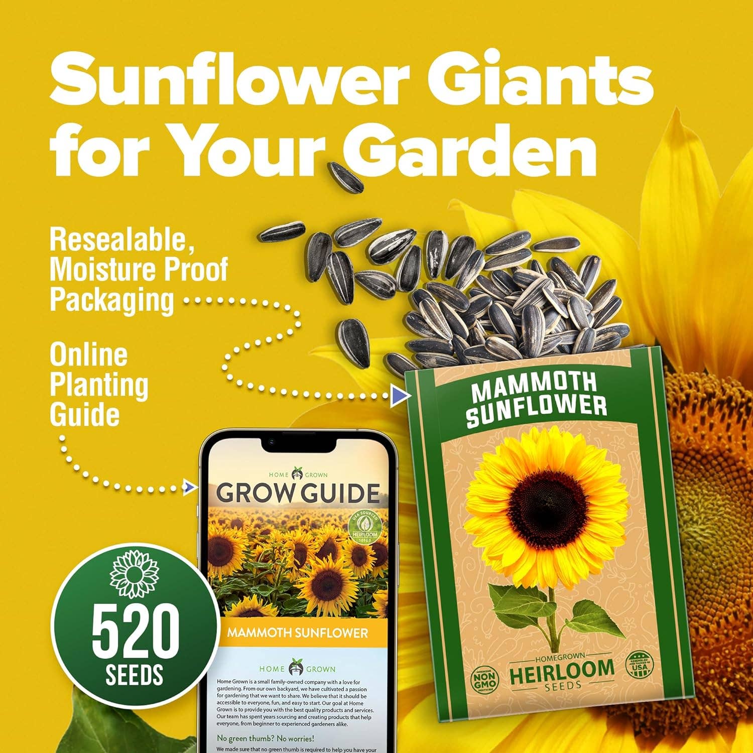 Homegrown Garden - Wholesale Plant Seeds - 520 Giant Sunflower Seeds for Planting - Mammoth Sunflower6