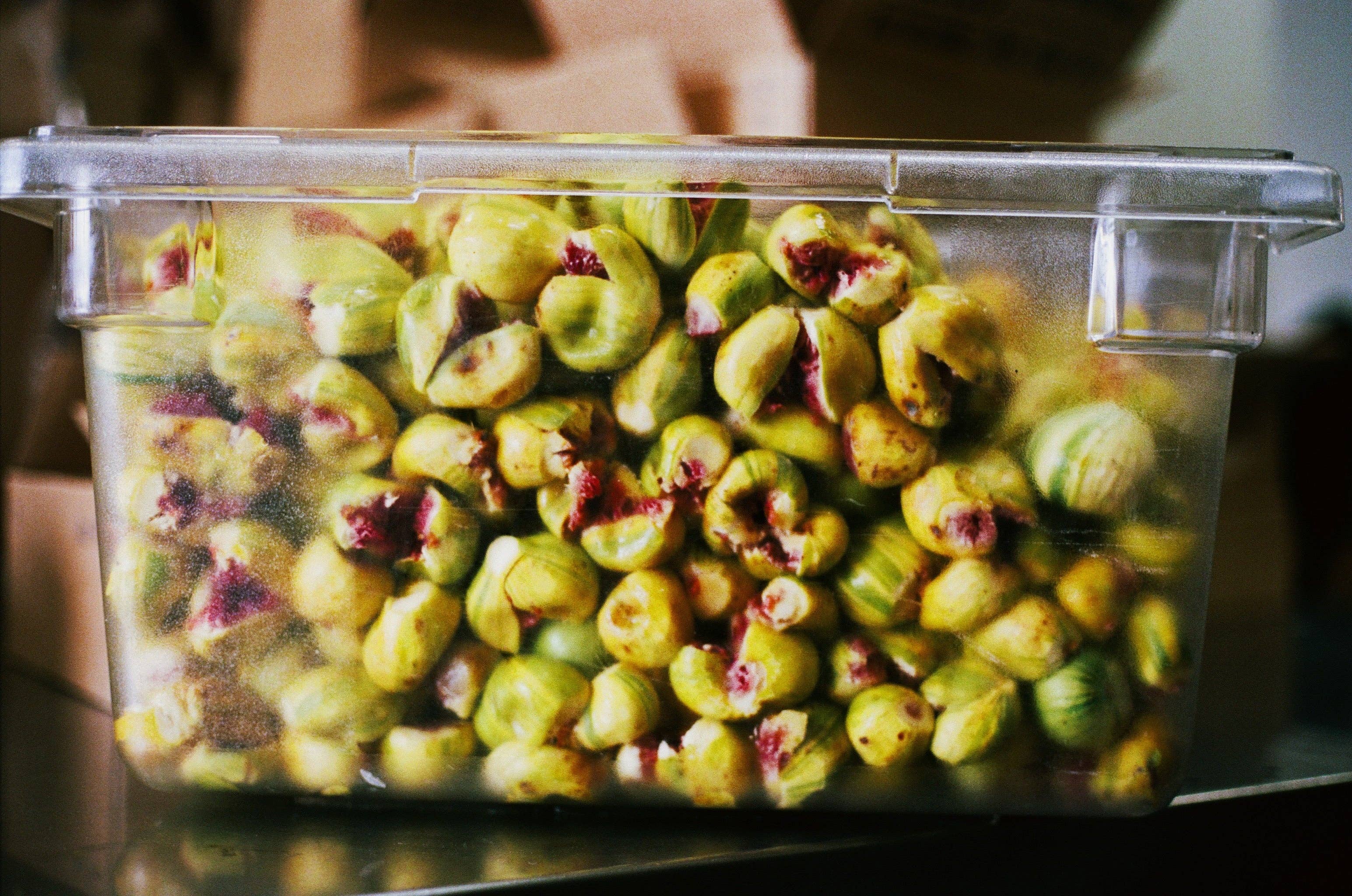 Sqirl - Wholesale Jam/Jelly - Dreamin' Man Candy Stripe Fig & Elderflower Fruit Spread 5