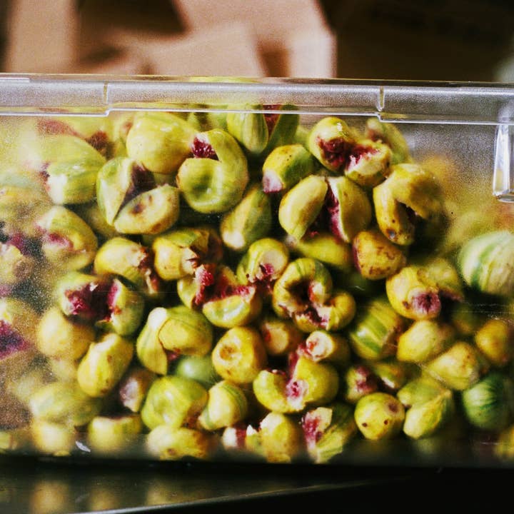 Sqirl - Wholesale Jam/Jelly - Dreamin' Man Candy Stripe Fig & Elderflower Fruit Spread 5