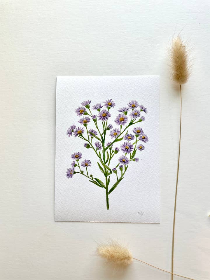 Kunstdruck „Aster, September-Geburt“, Blume für den Großhandel von Ellen Schaefer Art