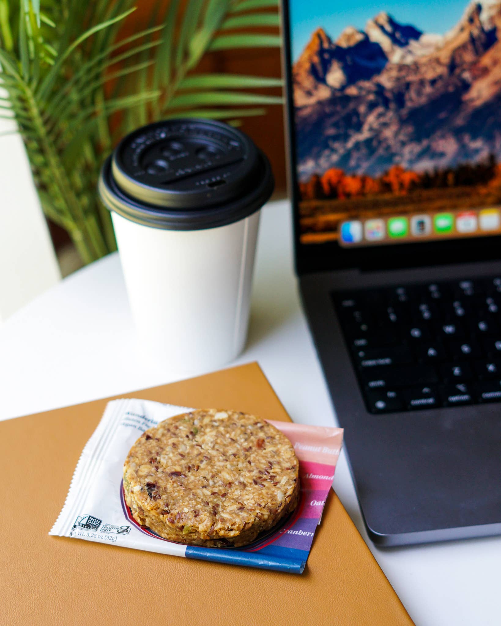 Protein Puck - Wholesale Snack Bar - Wanderlust (Peanut Butter, Cranberry) (16 - 3.25oz Bars)15