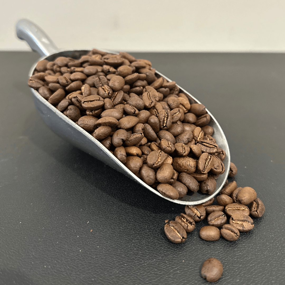 Aerobrew Coffee Company - Wholesale Coffee Beans - Pilot Blend Coffee (Medium/Dark)4