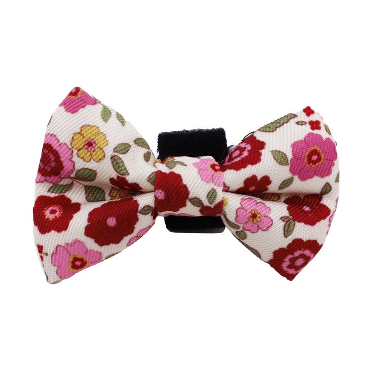 Primrose: Cat Bow Tie for wholesale by Pablo & Co. Boutique