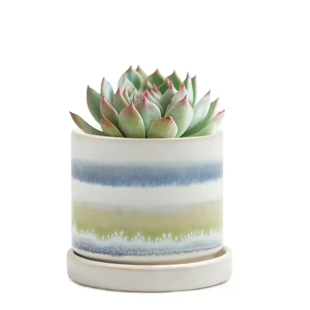 Chive UK - Wholesale Plant Pot - Minute  Handmade Ceramic Planter Indoors Pot With Saucer38